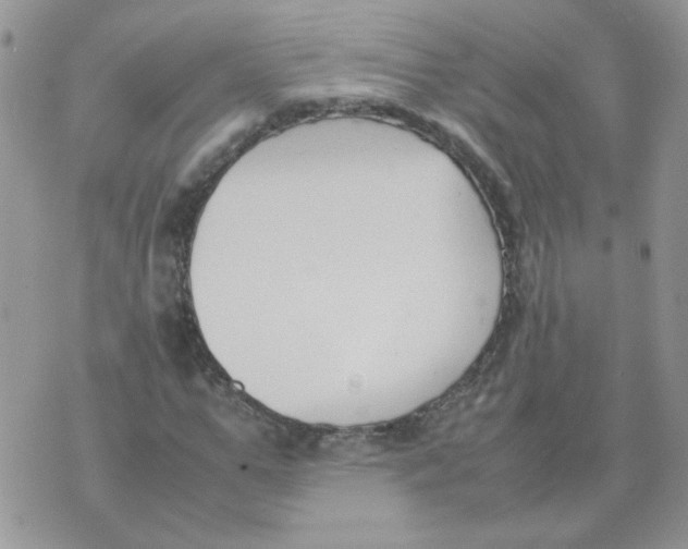 X0000074330967200609152053