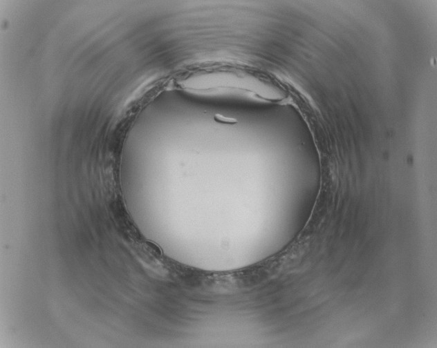 X0000074330968200609152053