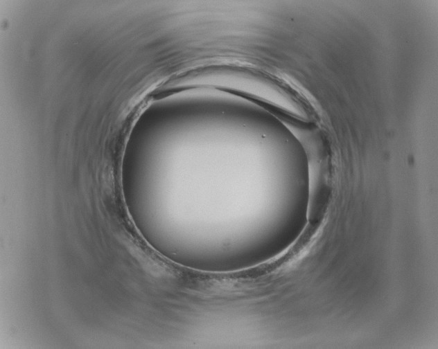 X0000074330969200609152053