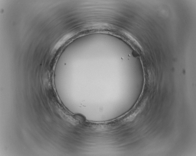 X0000074330970200609152053