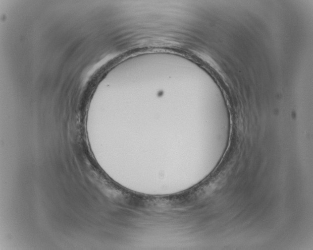 X0000074330971200609152053