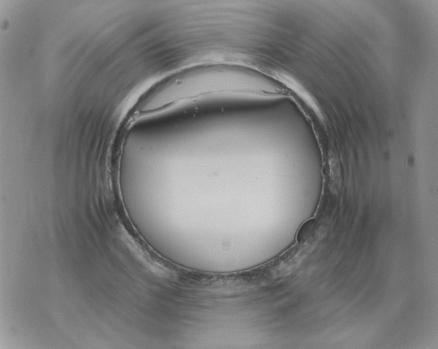 X0000074330972200609152053