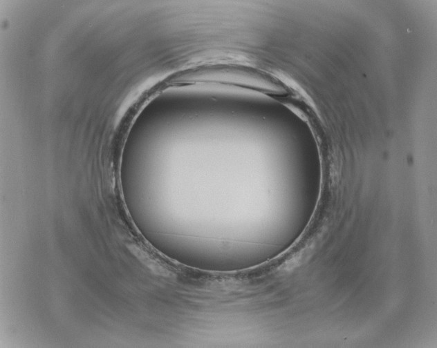 X0000074330973200609152053