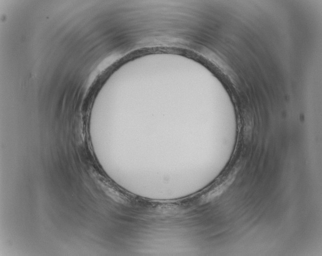 X0000074330974200609152053