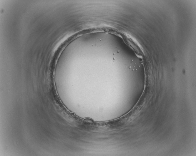 X0000074330975200609152053