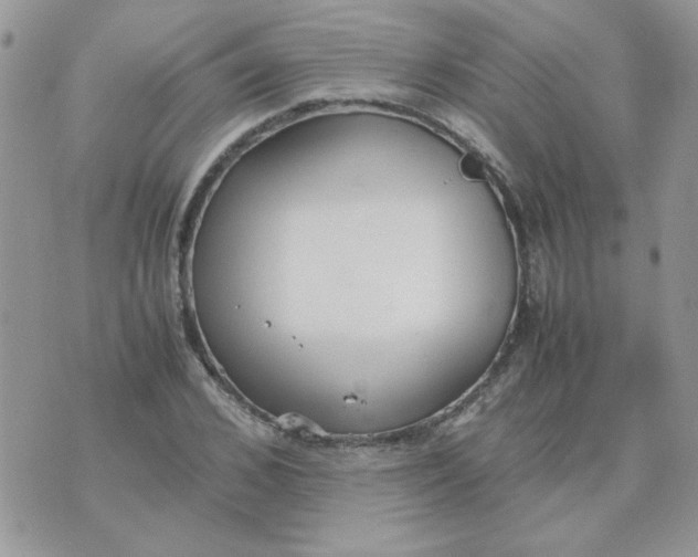 X0000074330976200609152053