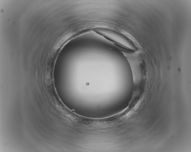 X0000074330977200609152053