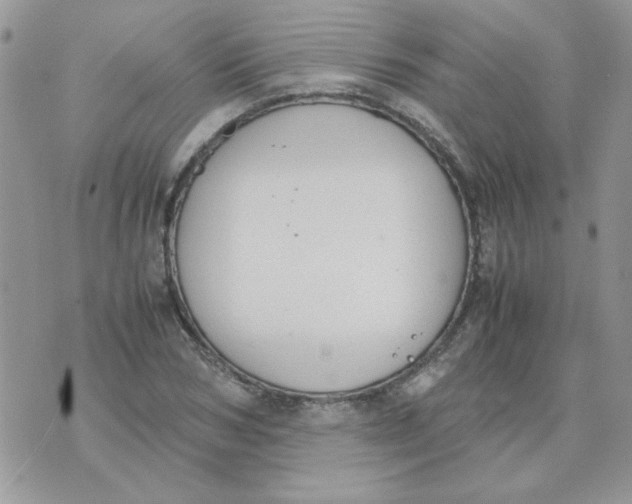 X0000074330978200609152053