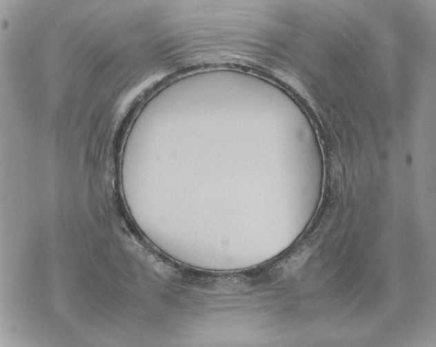 X0000074330979200609152052