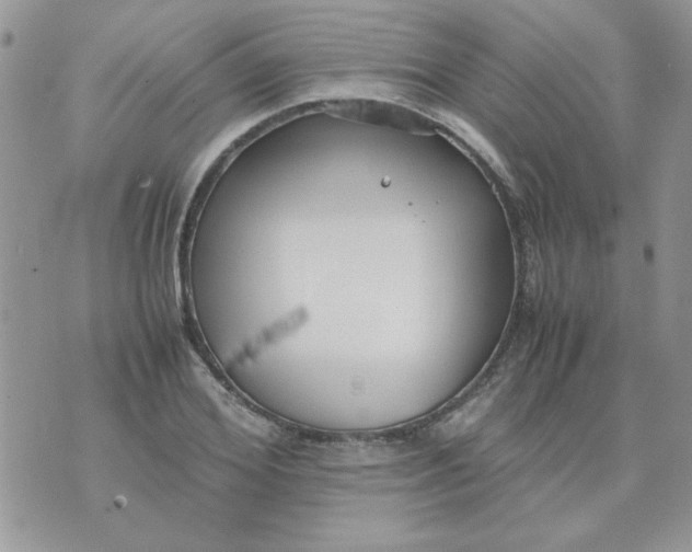 X0000074330980200609152052