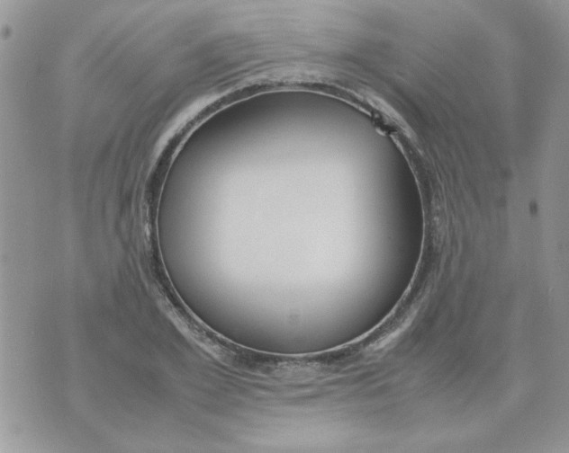 X0000074330981200609152052