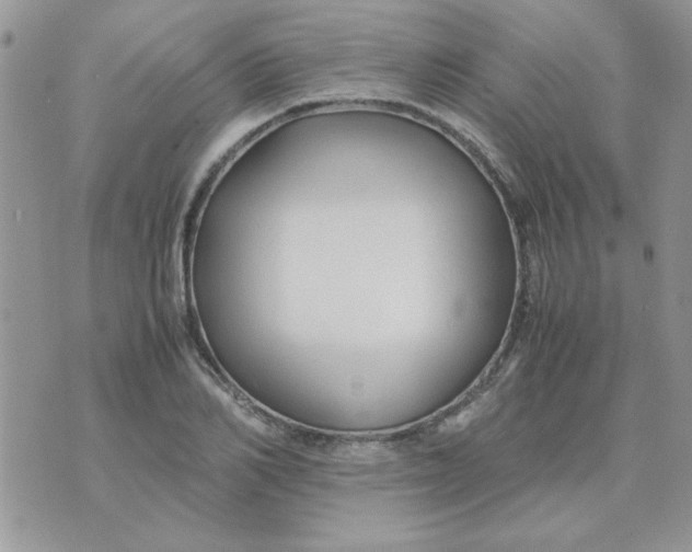 X0000074330982200609152052