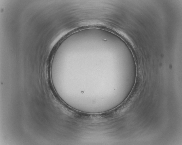 X0000074330983200609152052