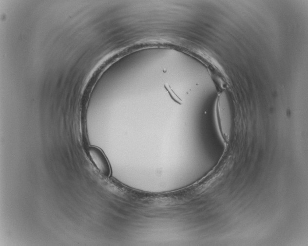 X0000074330984200609152052