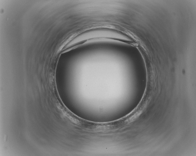 X0000074330985200609152052