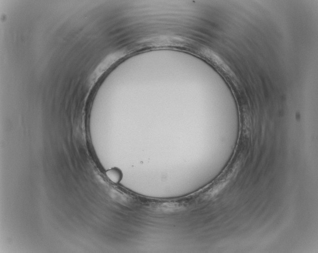 X0000074330986200609152052