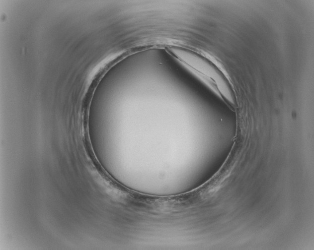 X0000074330987200609152052