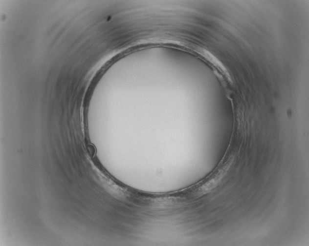 X0000074330988200609152052