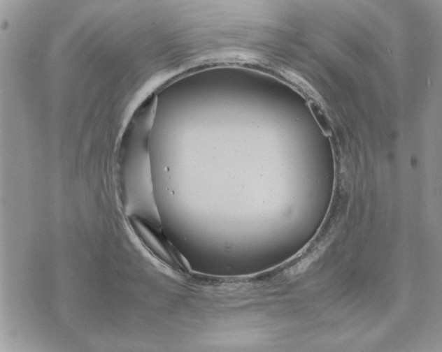 X0000074330989200609152052