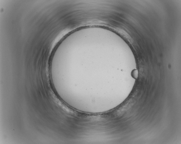 X0000074330990200609152052