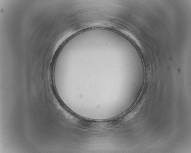 X0000074330991200609152052