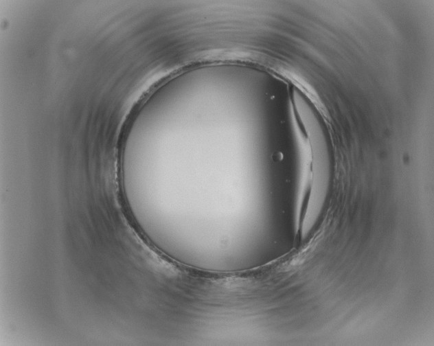 X0000074330992200609152052