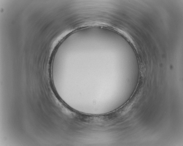 X0000074330995200609152052