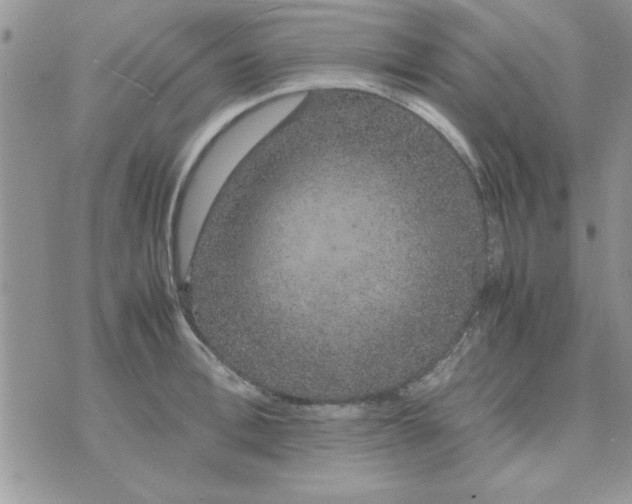 X0000074330996200609152052