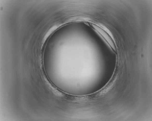 X0000074330997200609152052