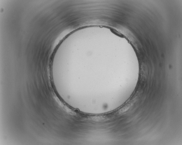 X0000074330998200609152052