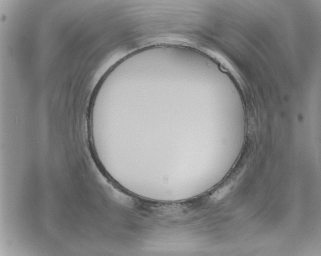 X0000074330999200609152052