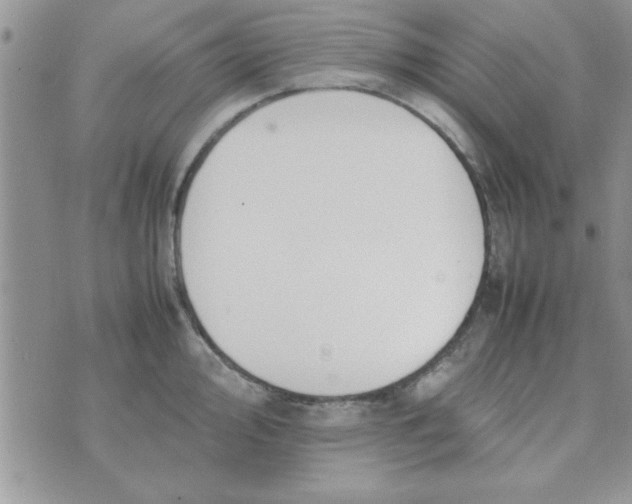 X0000074331000200609152052