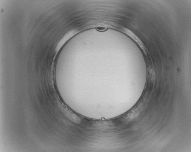 X0000074331002200609152052