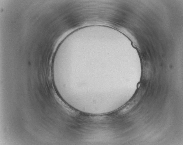 X0000074331004200609152052