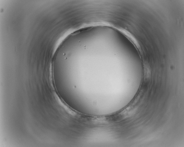 X0000074331006200609152052