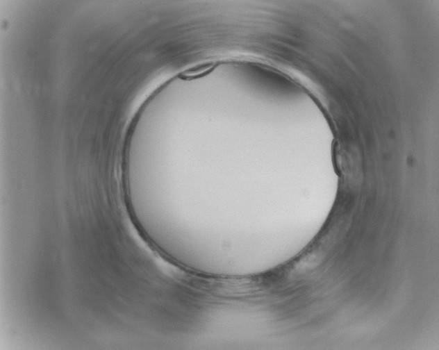 X0000074331007200609152052