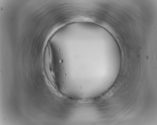 X0000074331008200609152052