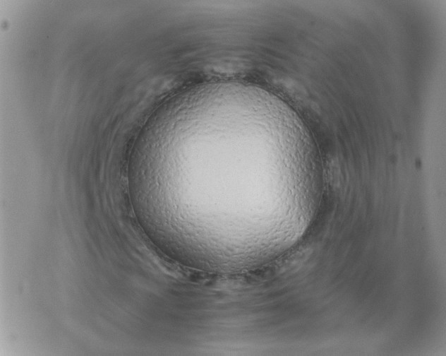 X0000074331009200609152051