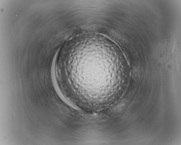 X0000074331010200609152051