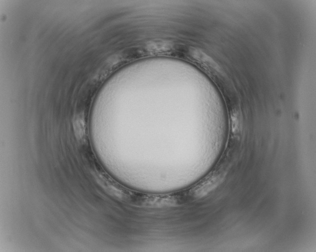 X0000074331011200609152051