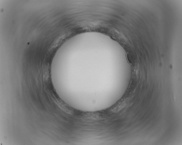 X0000074331012200609152051