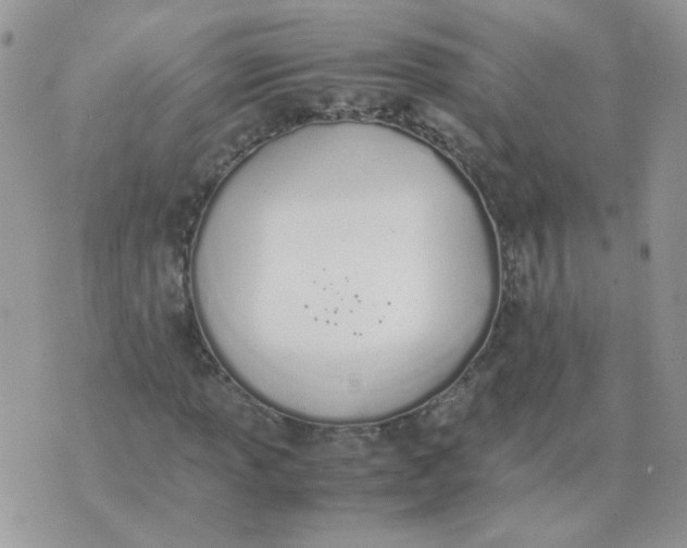 X0000074331013200609152051