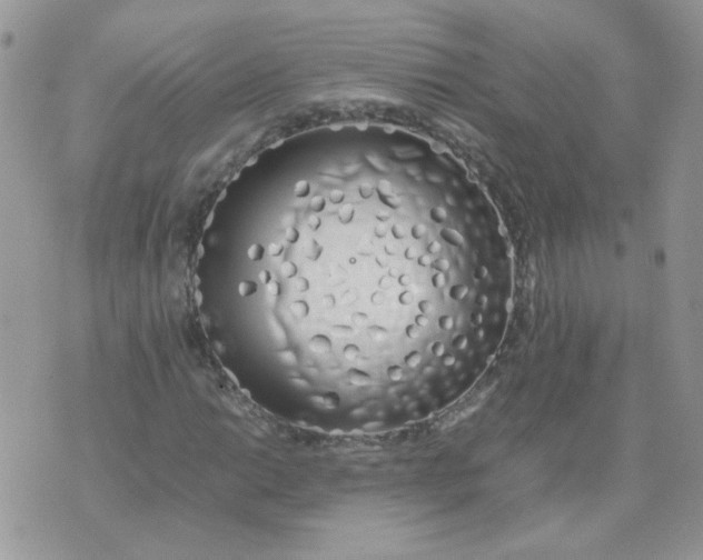 X0000074331014200609152051