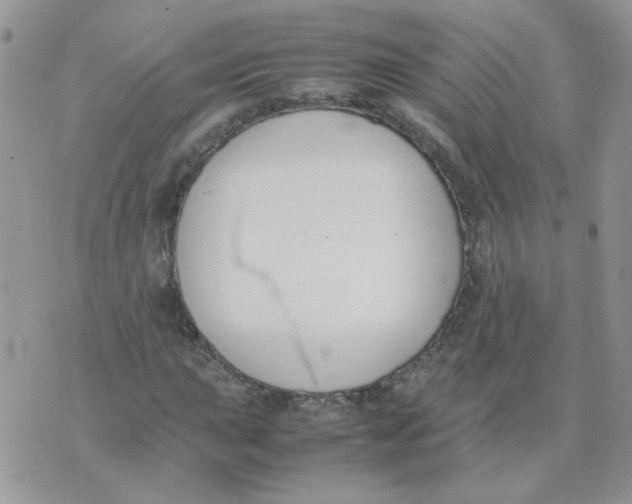 X0000074331015200609152051