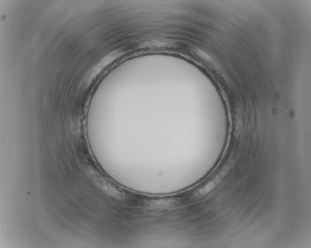 X0000074331017200609152051