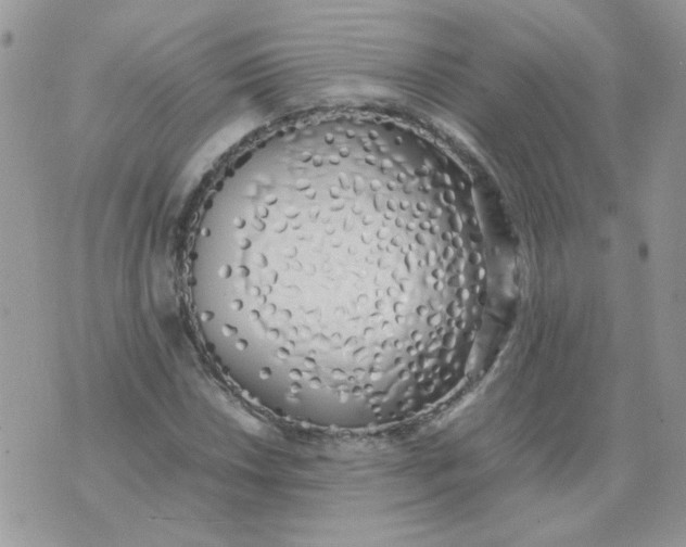 X0000074331018200609152051