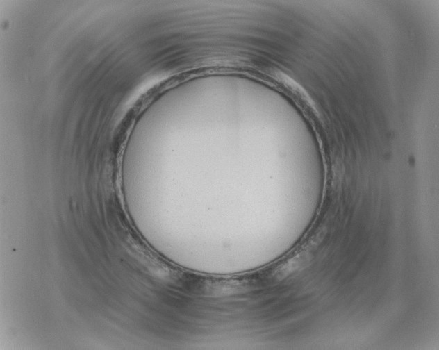 X0000074331019200609152051