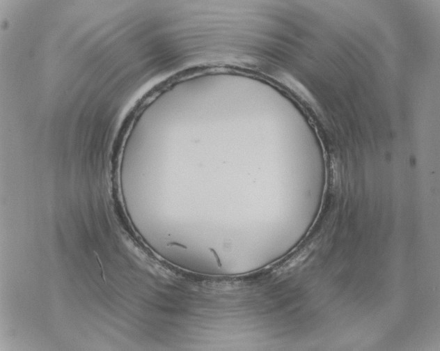 X0000074331020200609152051