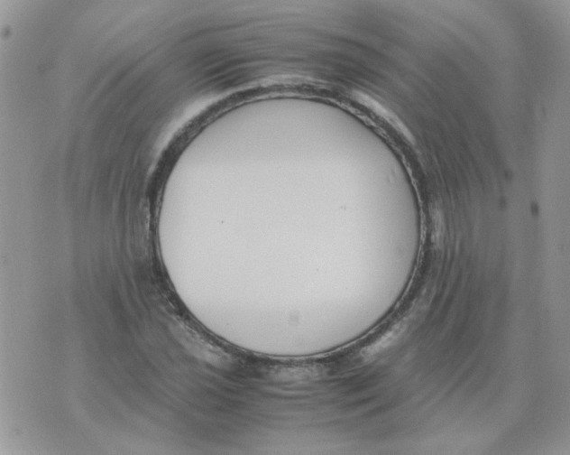 X0000074331021200609152051