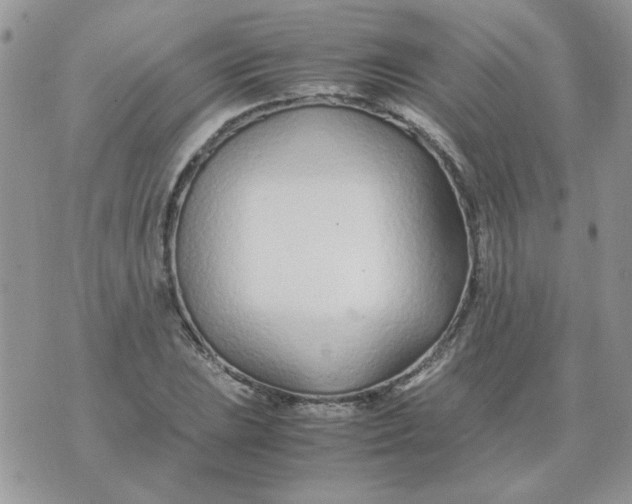 X0000074331023200609152051